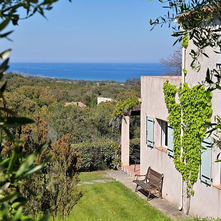 Domaine Punta Della Guardia Villa Vue Mer Dans Nature Protegee, Plage A 1,5 Km Cervione Dış mekan fotoğraf