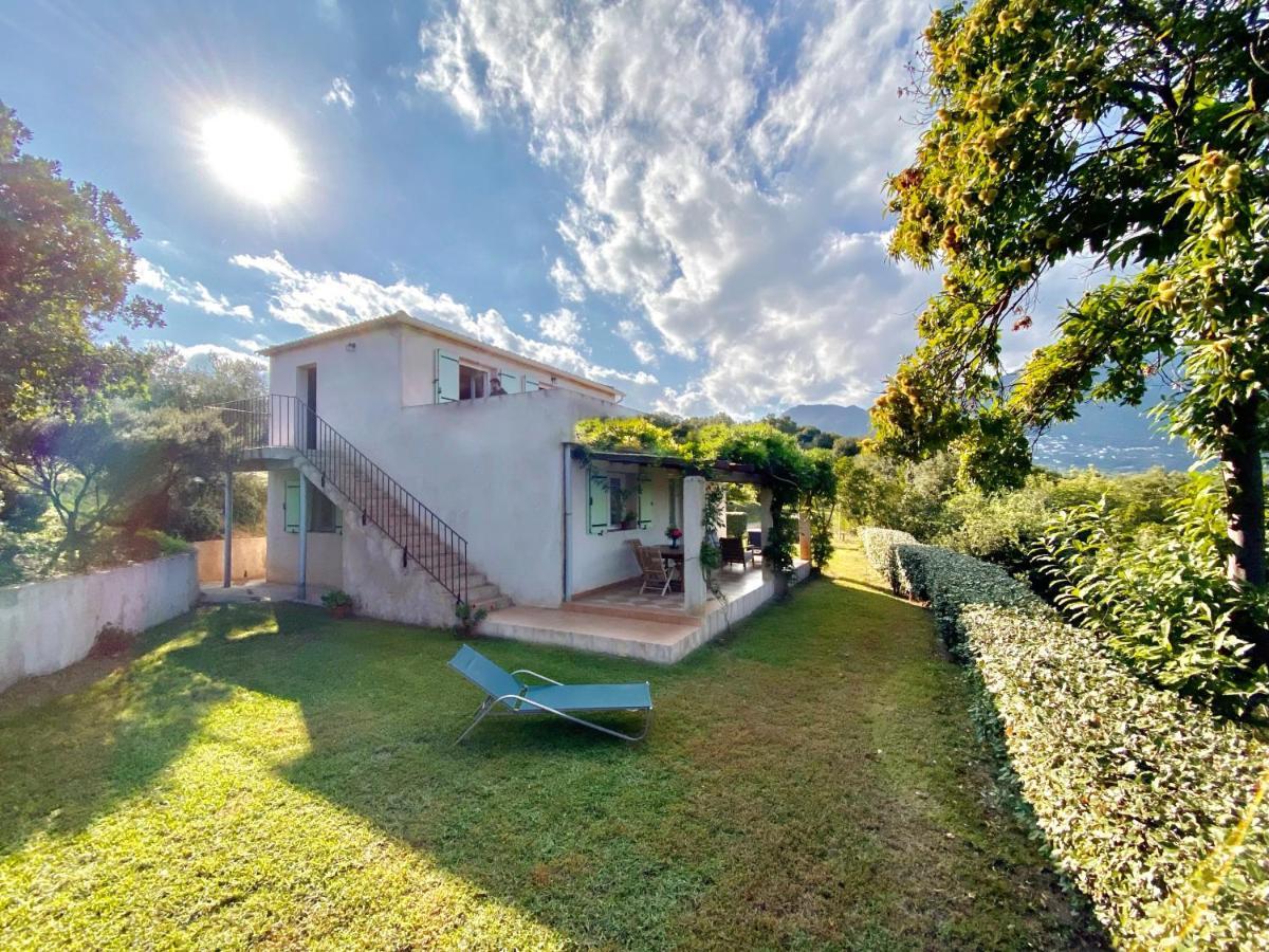 Domaine Punta Della Guardia Villa Vue Mer Dans Nature Protegee, Plage A 1,5 Km Cervione Dış mekan fotoğraf